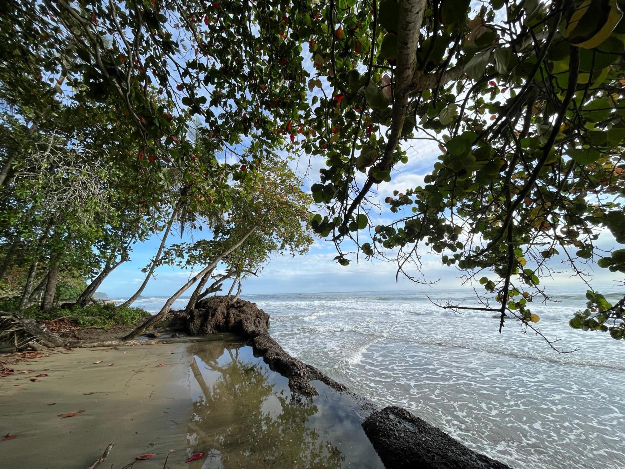 Namu Garden Hotel & Spa (Adults Only) Puerto Viejo de Talamanca 外观 照片